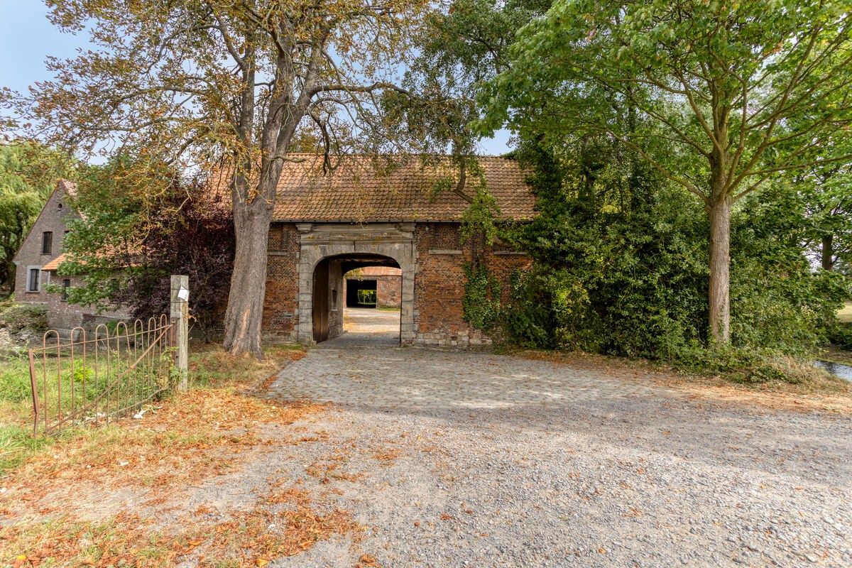 Unieke hoeve met grandeur op 2,3 ha parkdomein  foto 3
