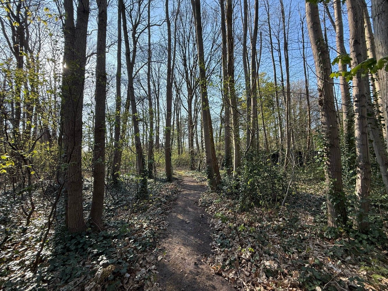 Residentiële bouwgrond op toplocatie foto 7