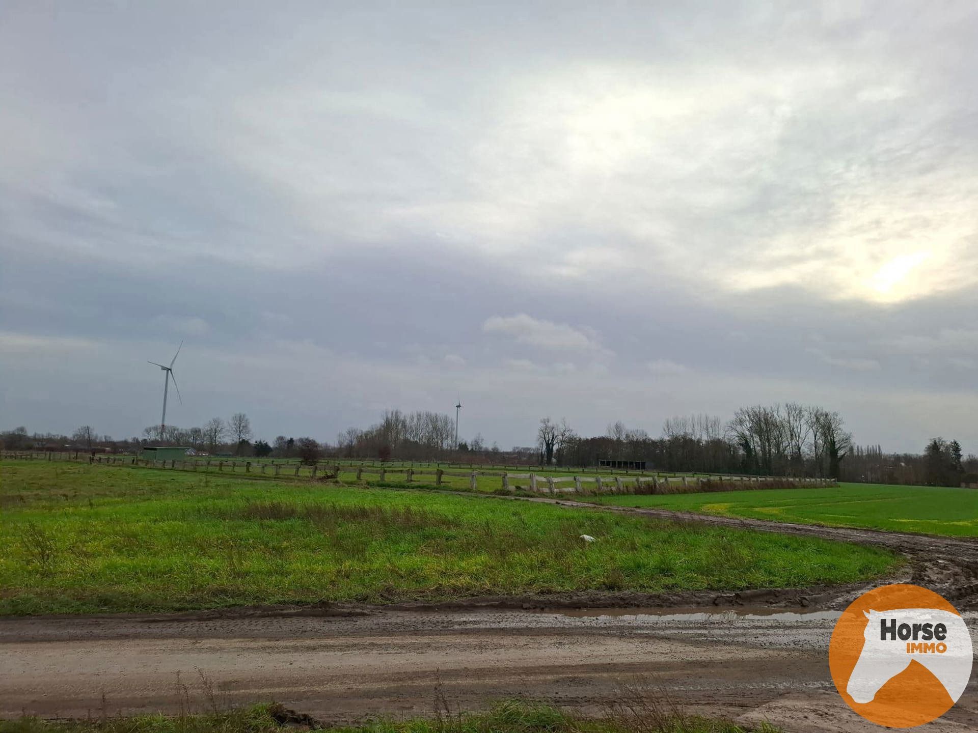 HAALTERT – Perceel weiland van 19a 10ca foto 4