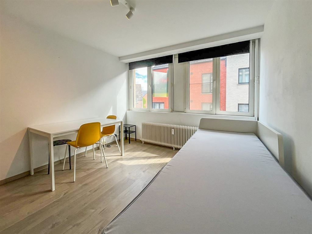 Recent gerenoveerde studio in Leuven-centrum! foto 2