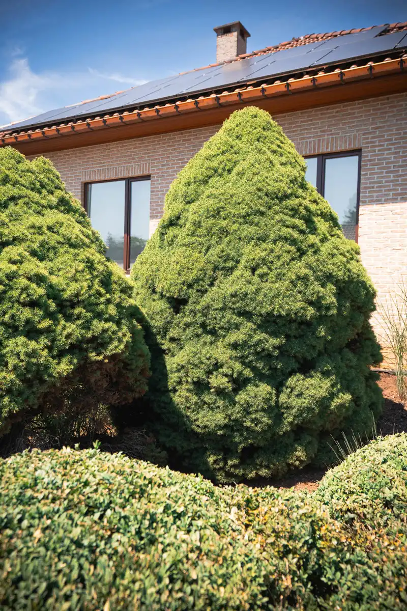 Ruime, uitstekend onderhouden gezinswoning met mooie tuin foto 2