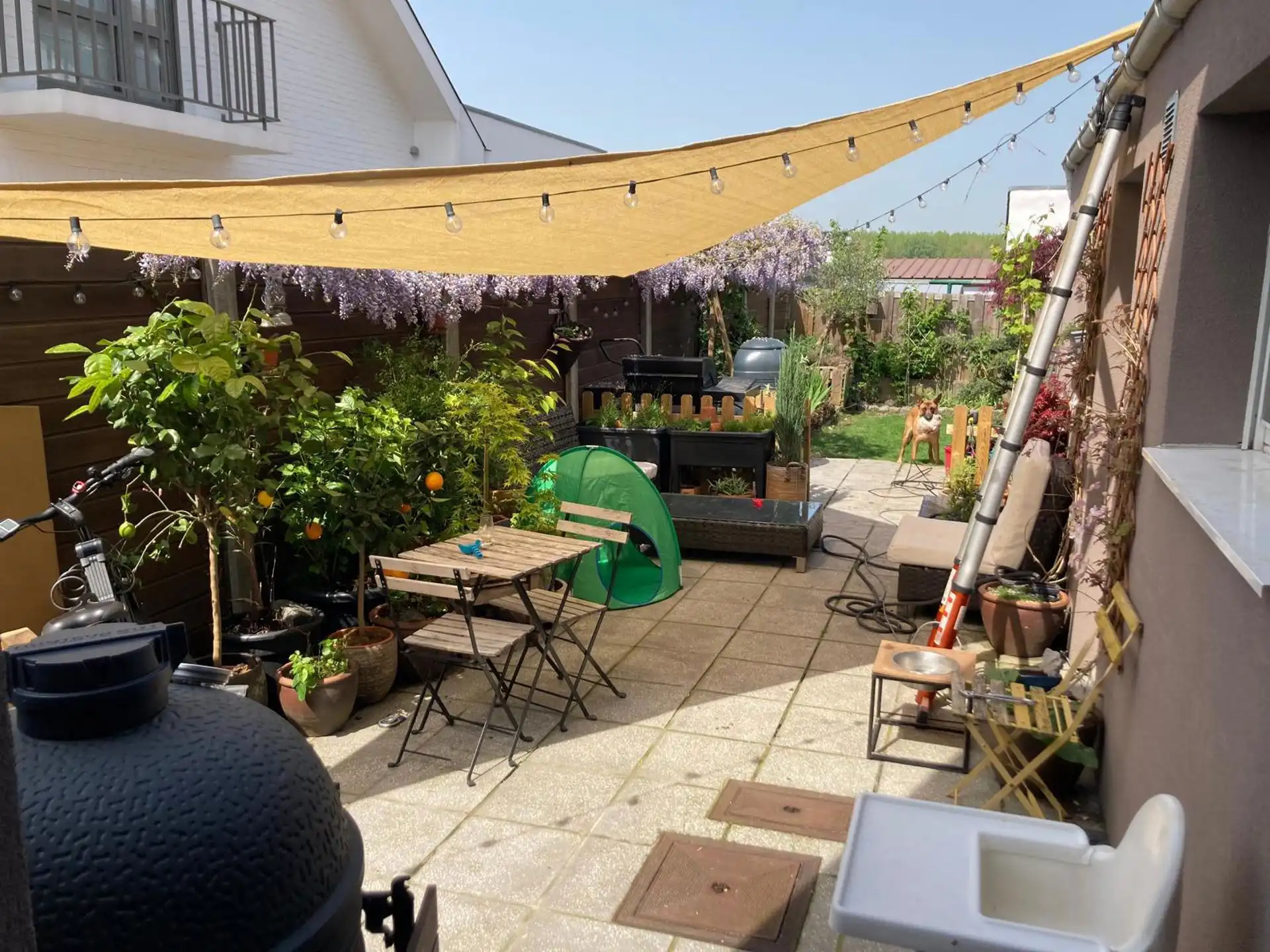 CHARMANTE STARTERSWONING MET 2 KAMERS, TERRAS EN TUIN foto 14