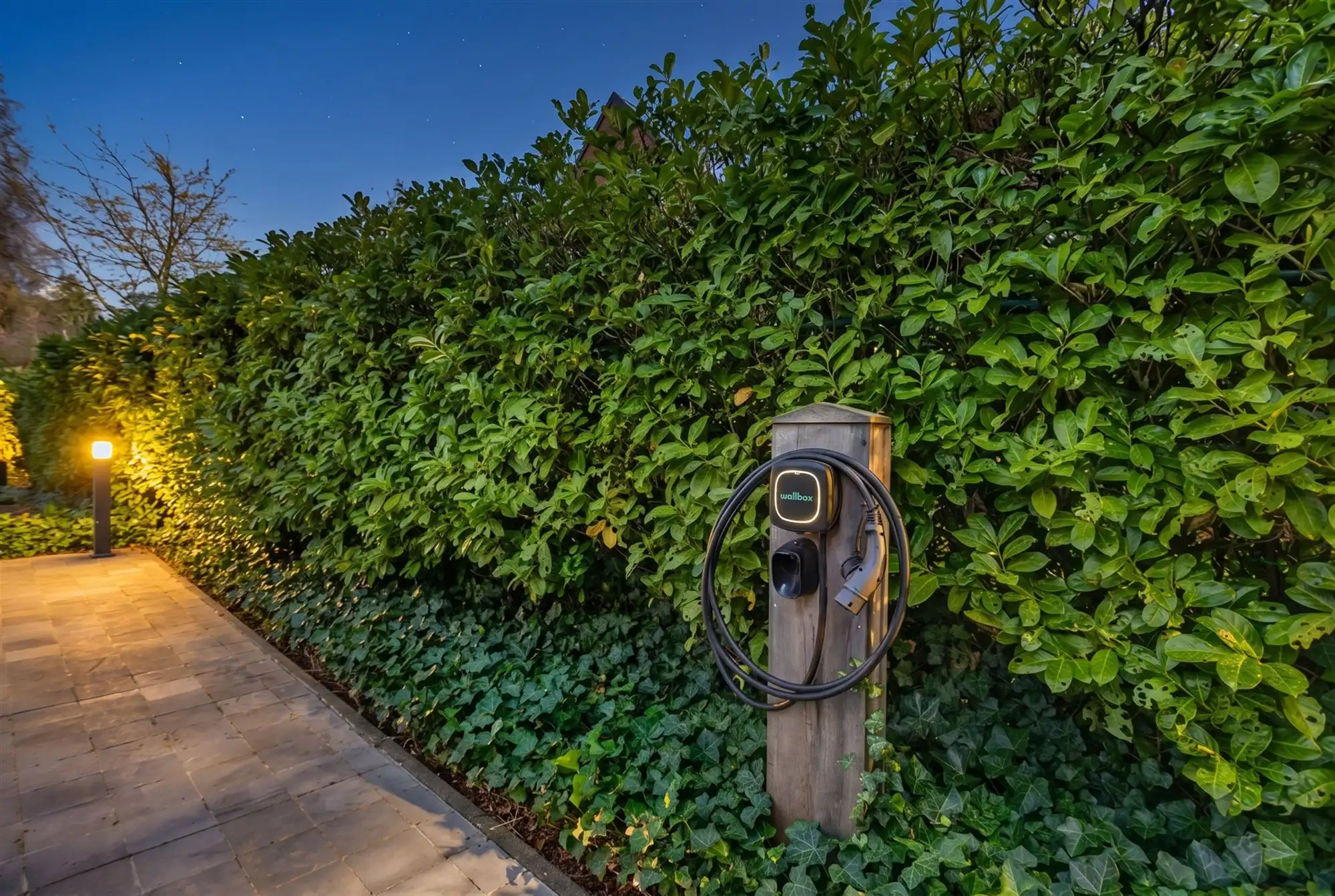 Ruime villa met zuidgerichte tuin en maximale privacy foto 7