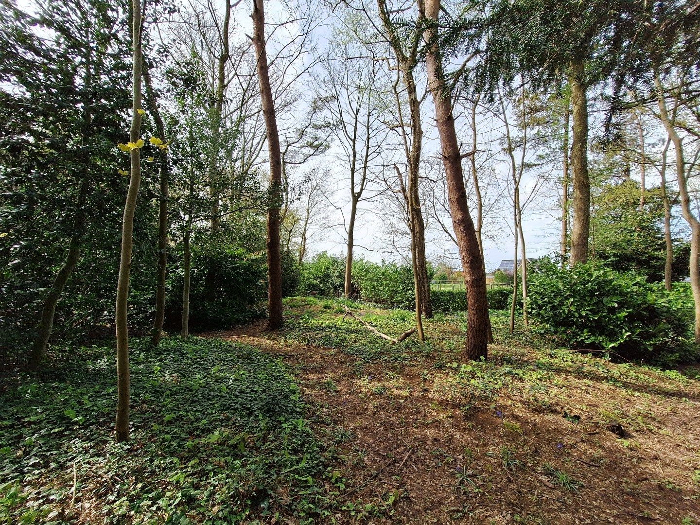 Perceel bouwgrond in landelijke omgeving - zonder bouwverplichting! foto 3