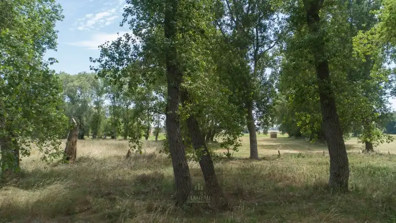 Uitzonderlijke villa op 3299m² gelegen op toplocatie te Nieuwpoort-Bad. foto 26