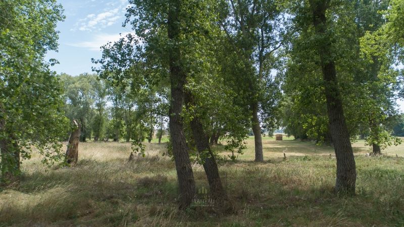 Uitzonderlijke villa op 3299m² gelegen op toplocatie te Nieuwpoort-Bad. foto 27