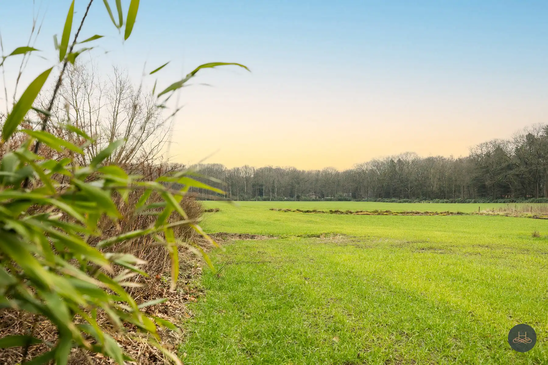 Unieke bouwgrond met weiland in Brasschaat foto 4