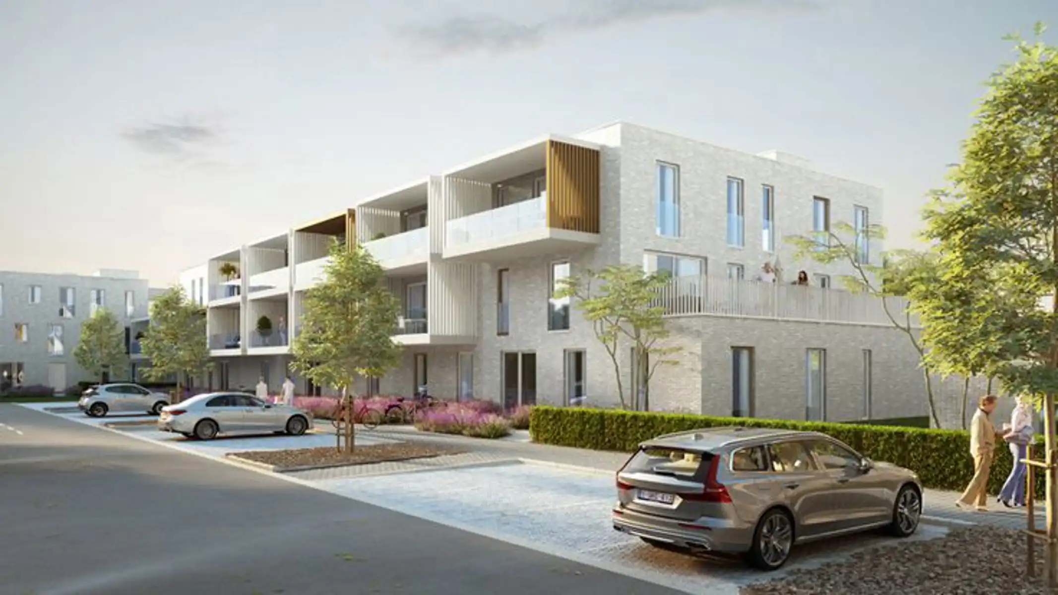 Drypikkel - Merchtem foto {{pictureIndex}}