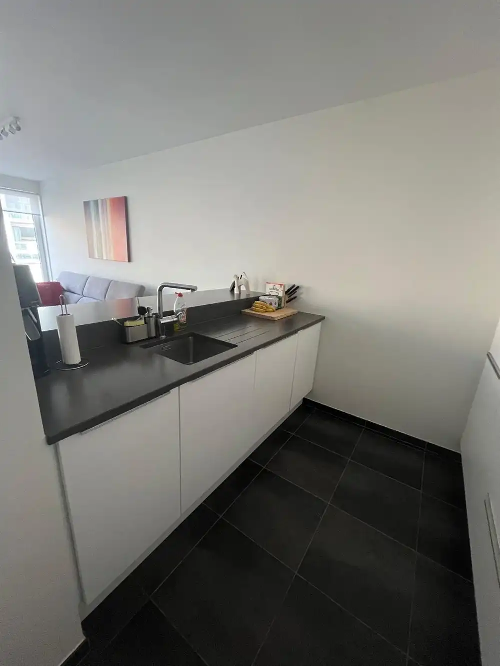 2-slpkr appartement met terras + P  | Antwerpen-Centrum  foto 7