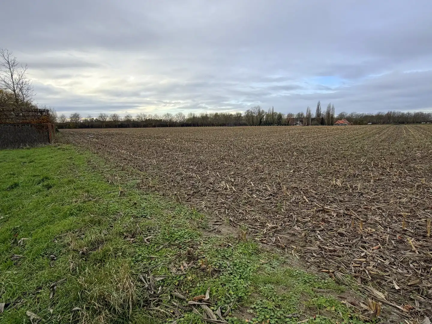 Bouwgrond voor ruime open bebouwing te koop op perceel van 1560.00 m² in Gullegem foto 2