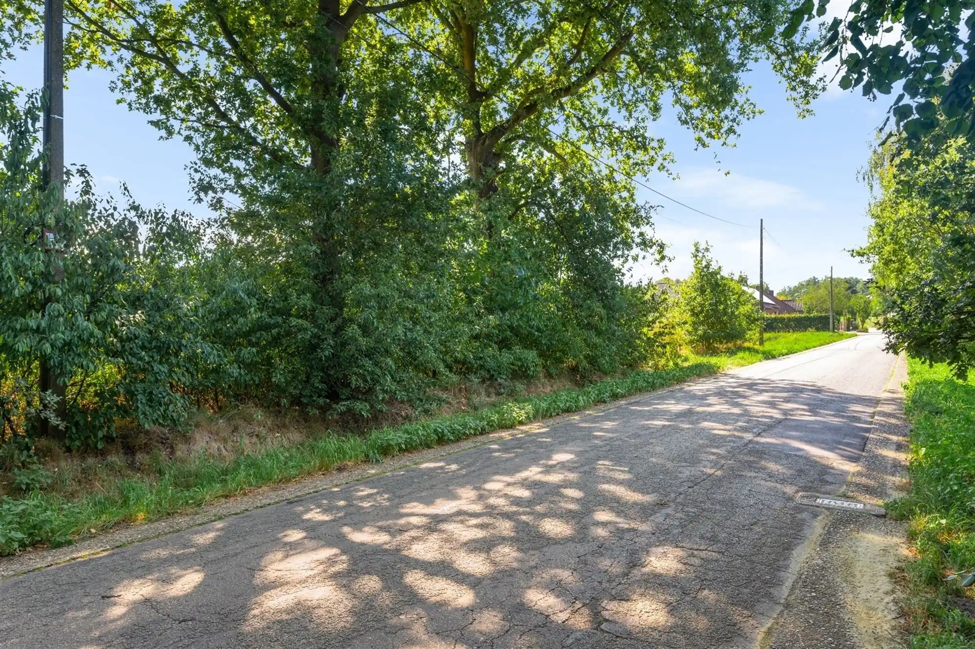 Perceel landbouwgrond te Beerzel - opp. 2547 m² foto 8