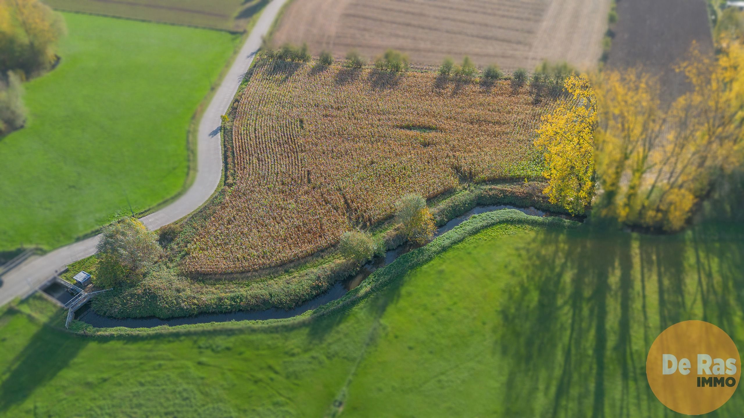 AALST - Landbouwgrond/weide 81a foto 7