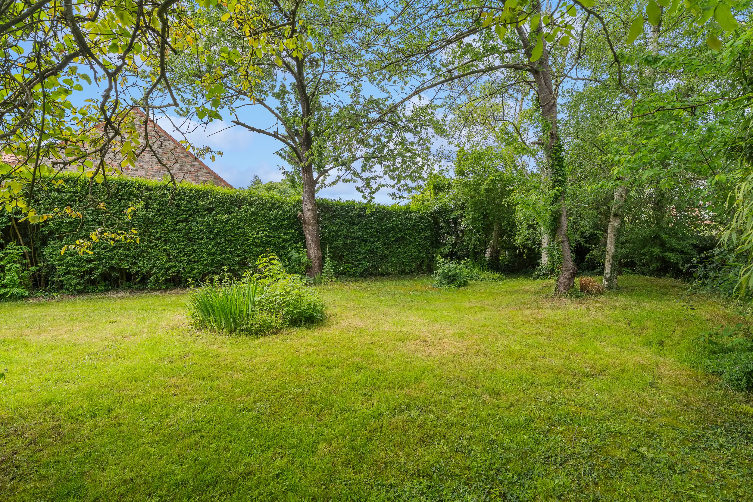 Charmant hoevetje met bijgebouwen in groen kader foto 21