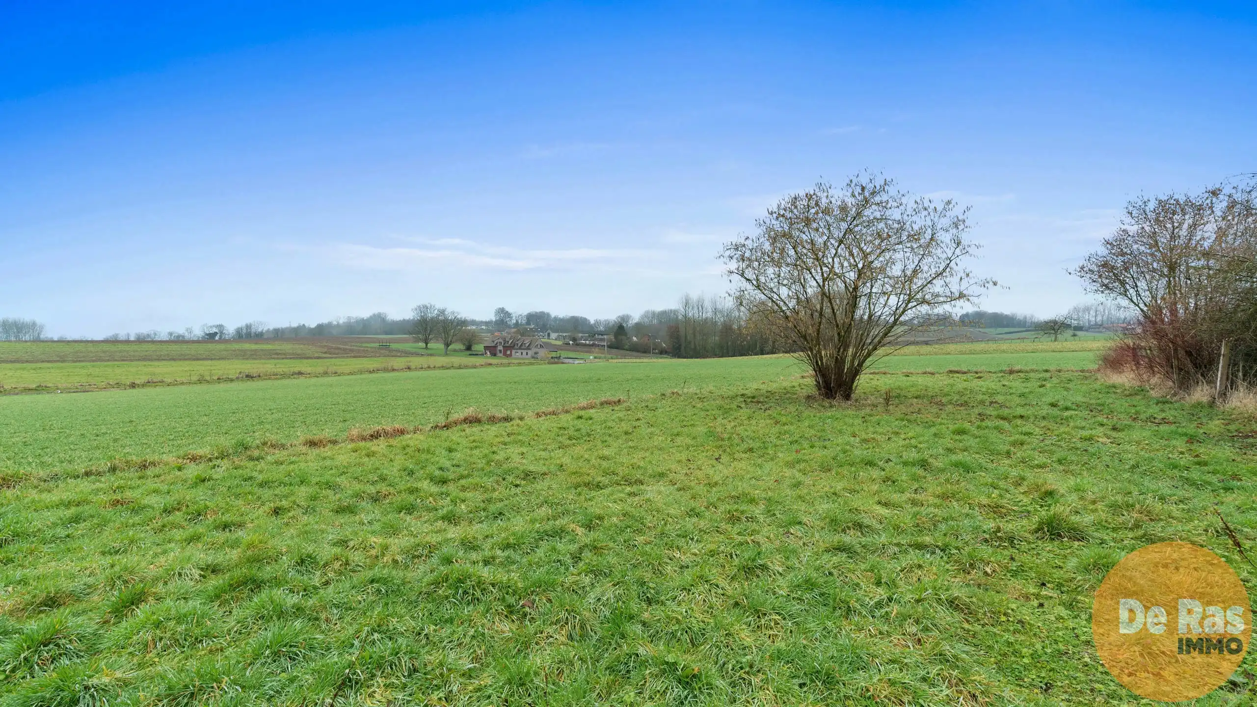 VLOESBERG -  Landelijk gelegen woning op ruim perceel van 17 are foto 14