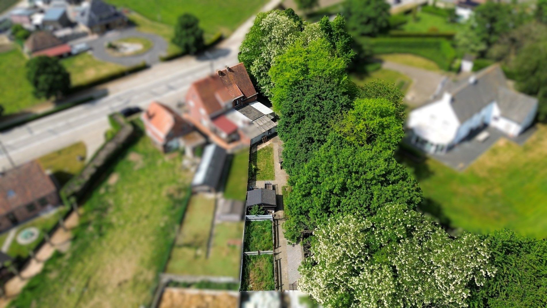 Ruime woning met tuin (perceel 524 m²), 3 slaapkamers, garage en bijgebouw/stalling, Torhout. foto 47