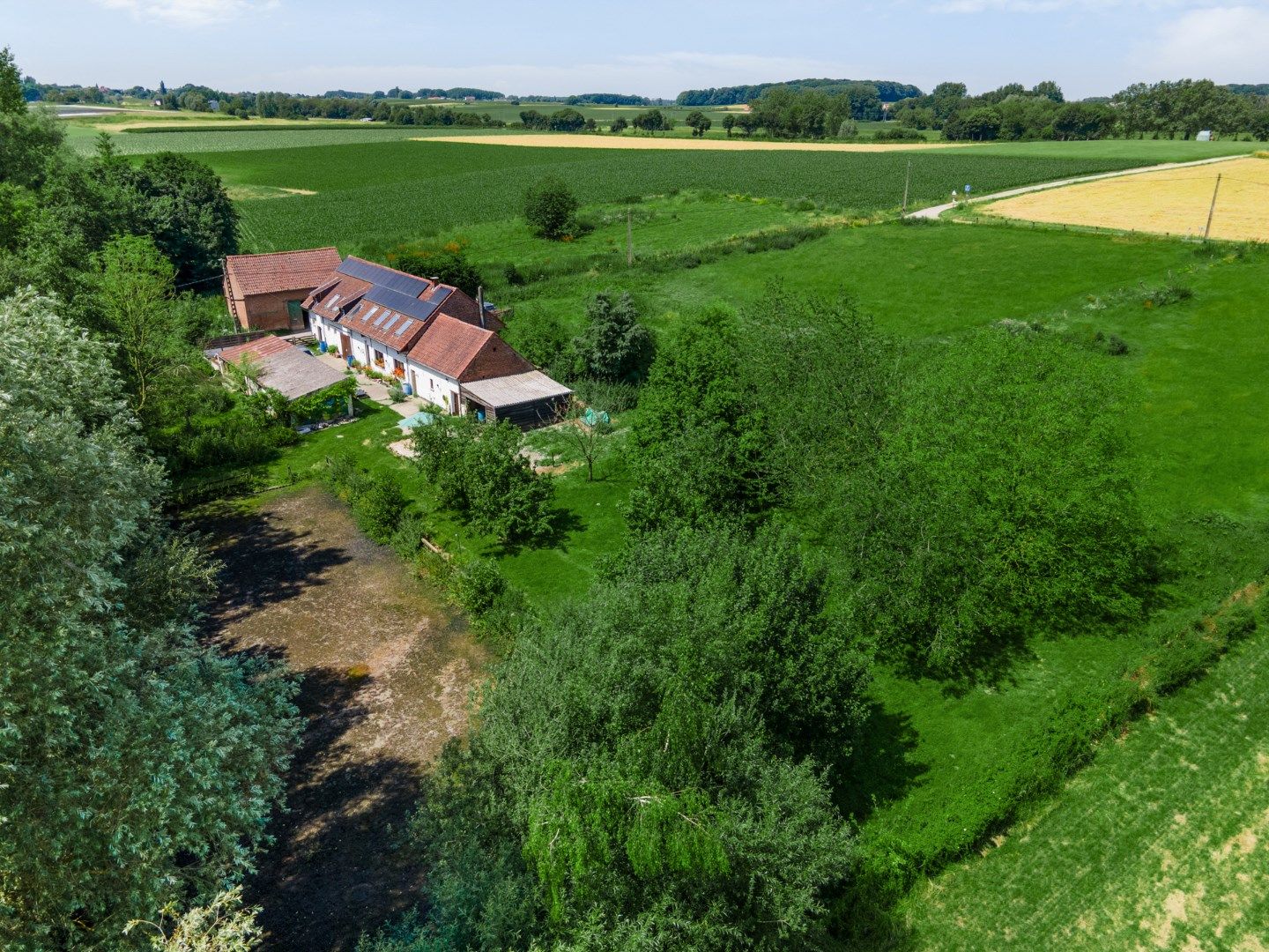 Unieke Oase van Rust met Paardenpiste en Natuurpracht op 15.000m2 te Mollem. foto 3