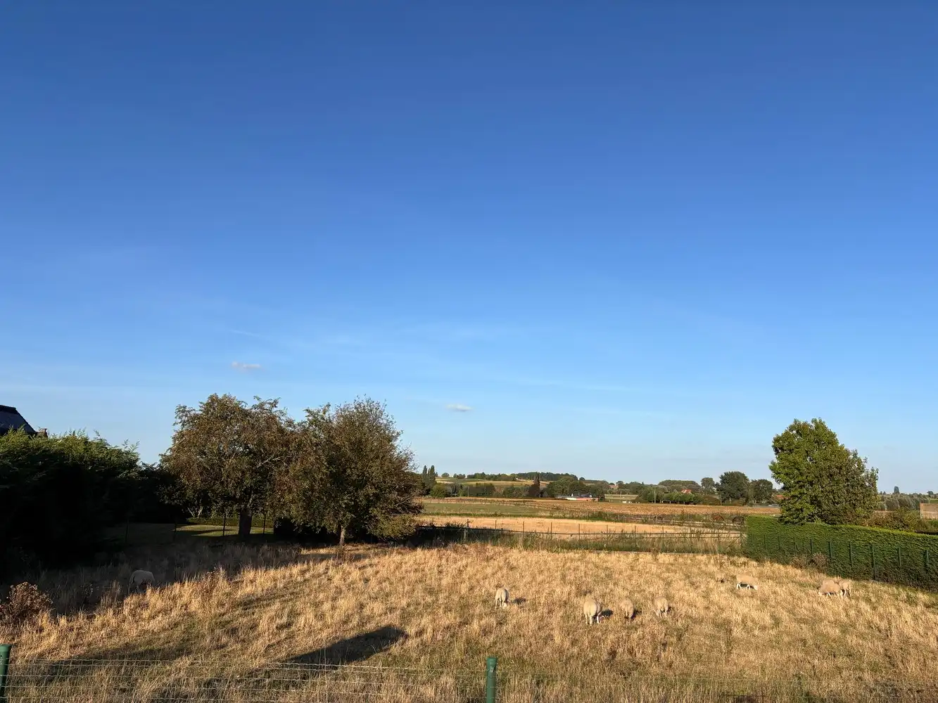 Bouwgrond van 1.859 m² in Kortrijk (Bellegem) - Landelijk wonen met vlotte bereikbaarheid foto {{pictureIndex}}