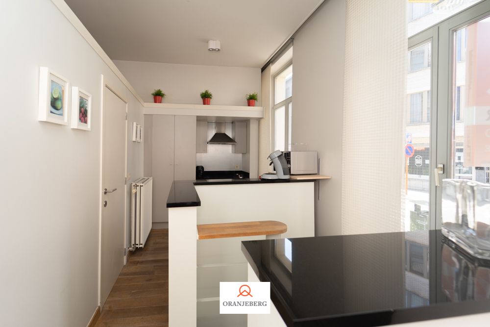 Duplex  2 slaapkamer appartement vlakbij Zuid foto 6