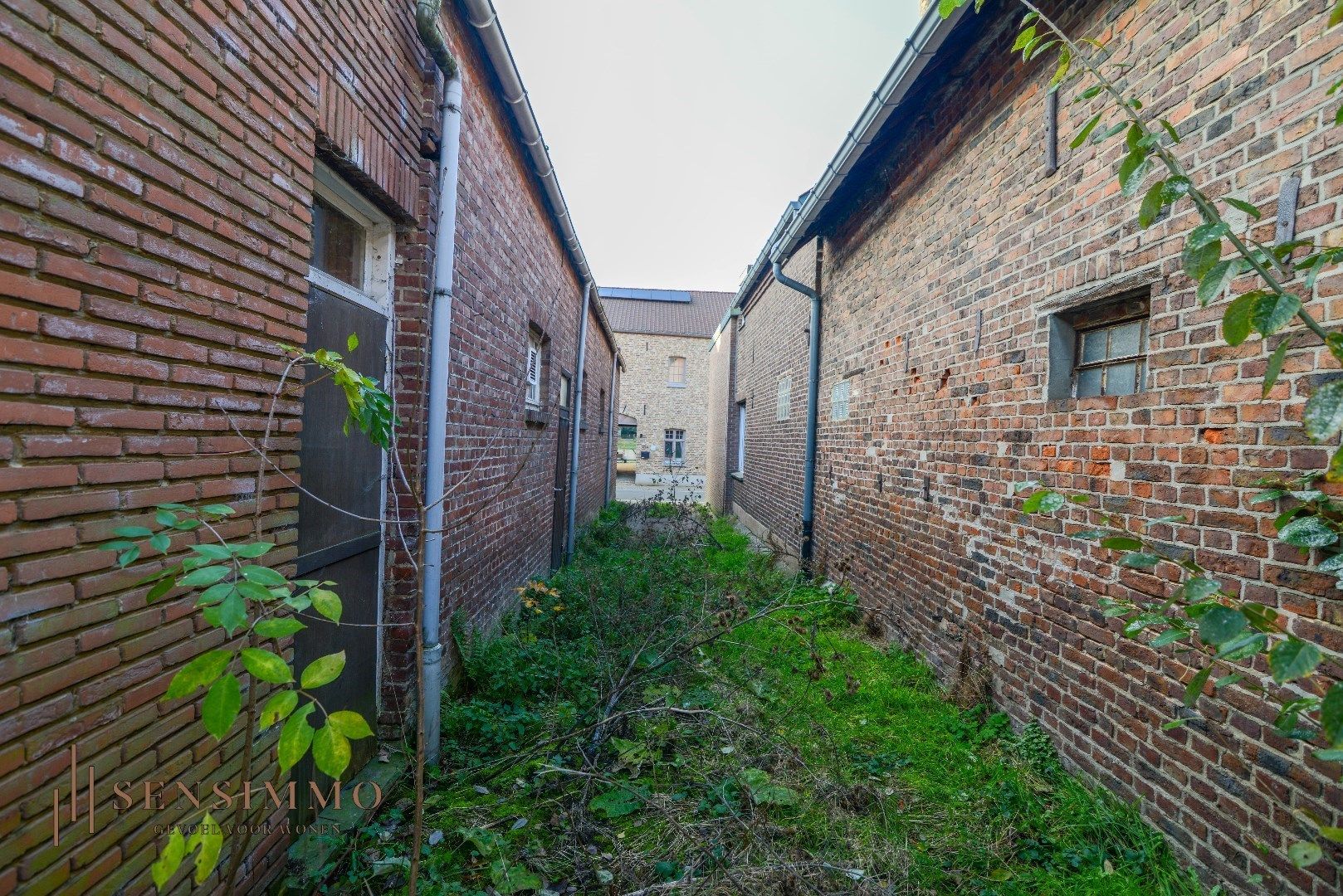 Projectgrond voor grondgebonden woningen te Maasmechelen foto 15