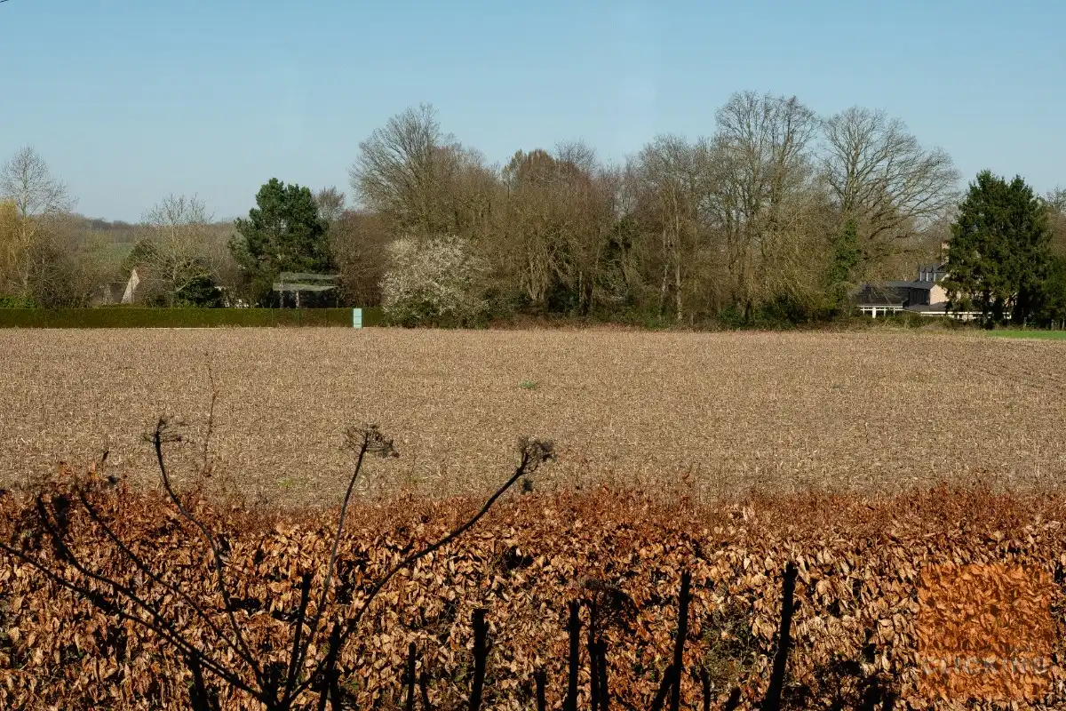 Exclusieve architectenvilla op een uitzonderlijke ligging in Wemmel foto 35