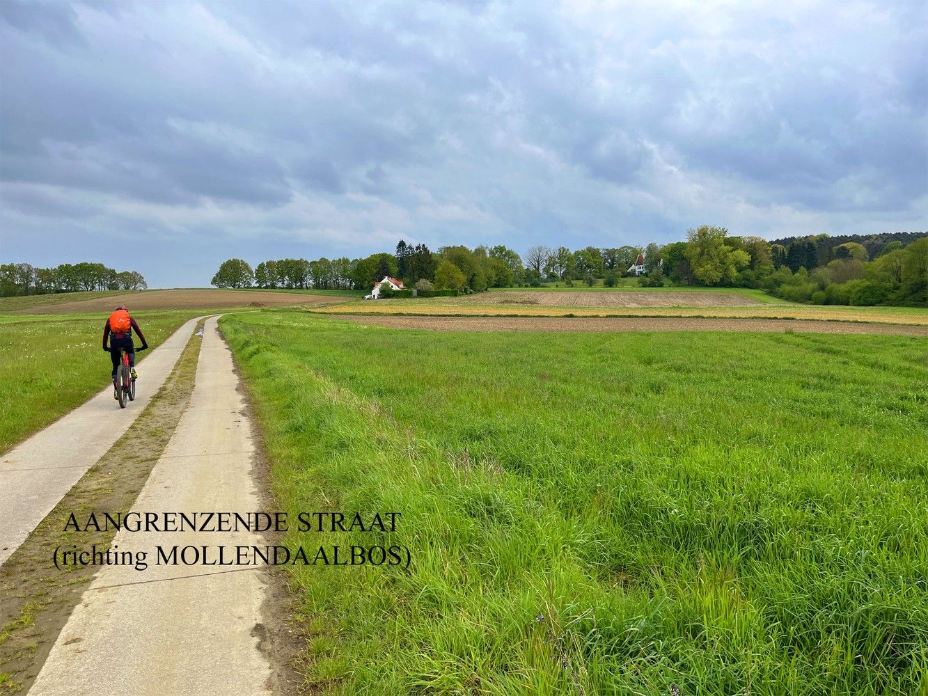 zeer rustige ligging vlakbij MEERDAALWOUD foto 2