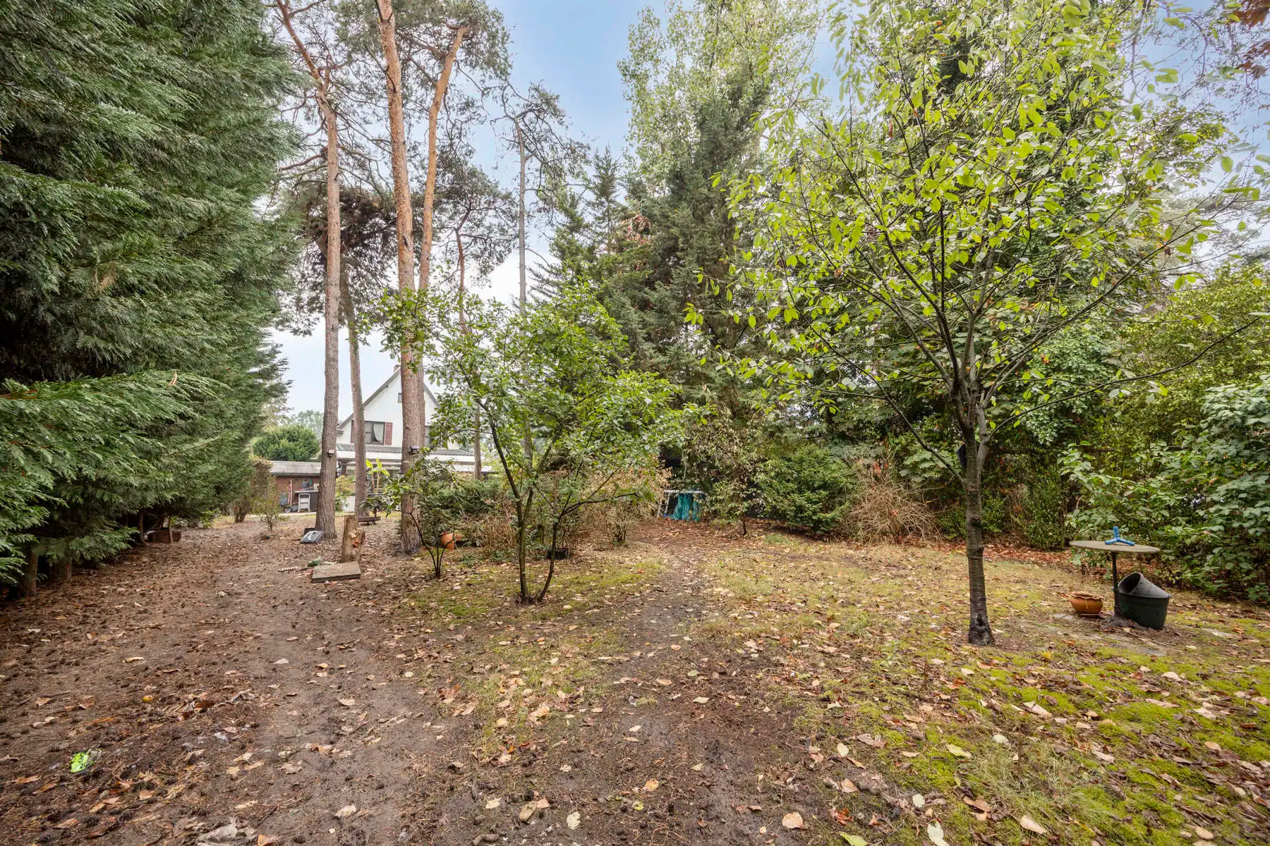 Open bebouwing vol potentieel op toplocatie in Keerbergen foto 30