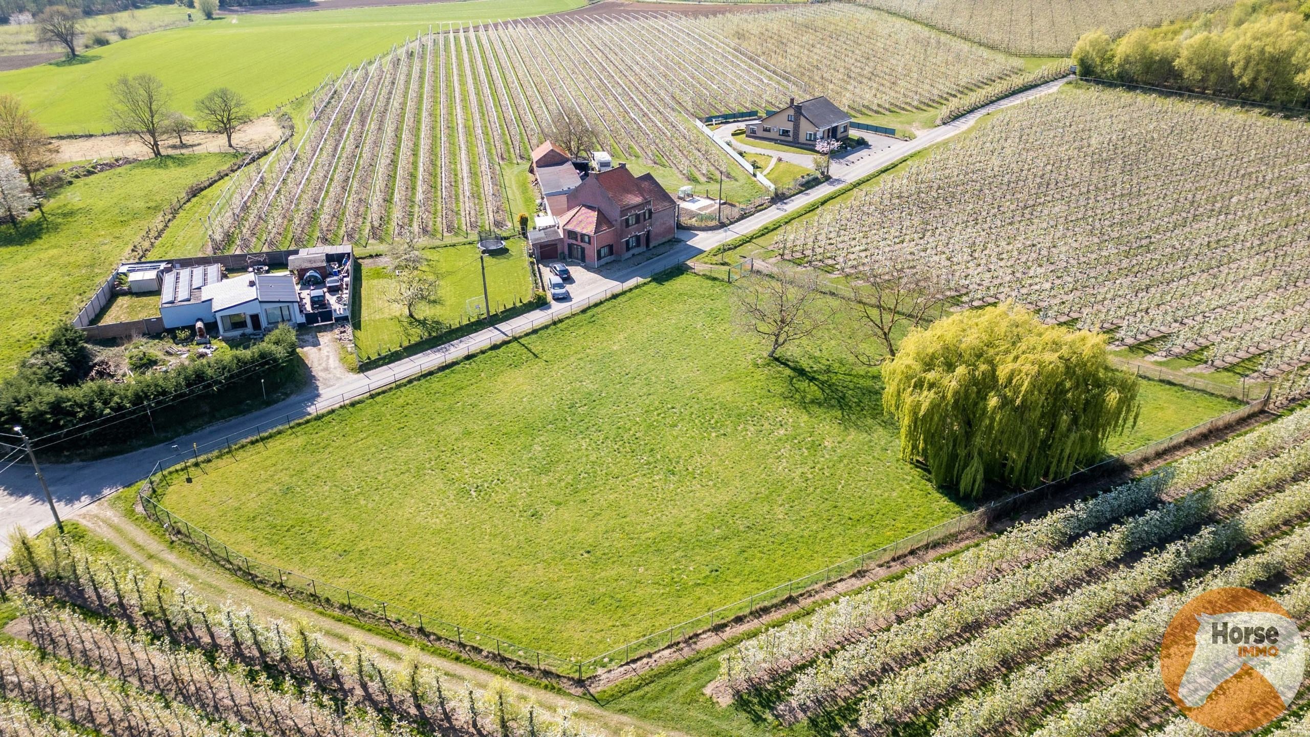 Meensel Kiezegem - Omheinde weide van 40a foto 3