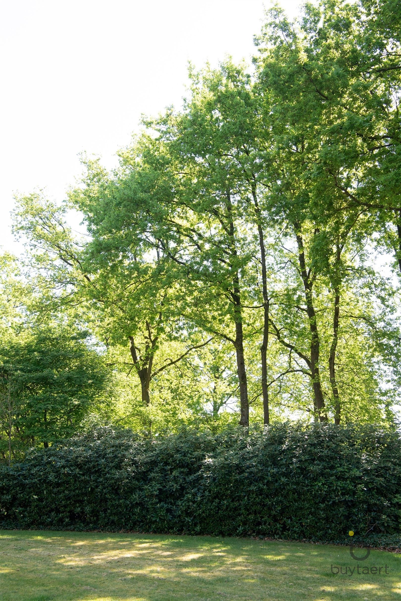 Gezellige MANOIRE villa in een aangename omgeving te Halle / Zoersel! foto 61