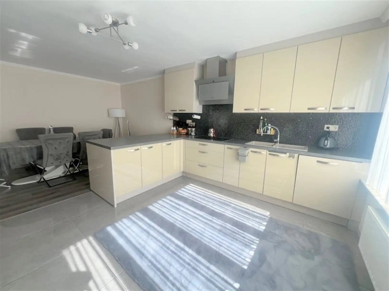 handelszaak + woonst foto 28