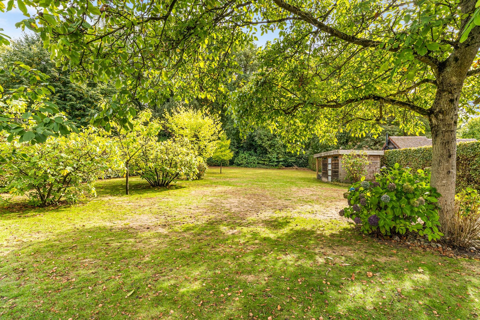 Huis te koop foto 26