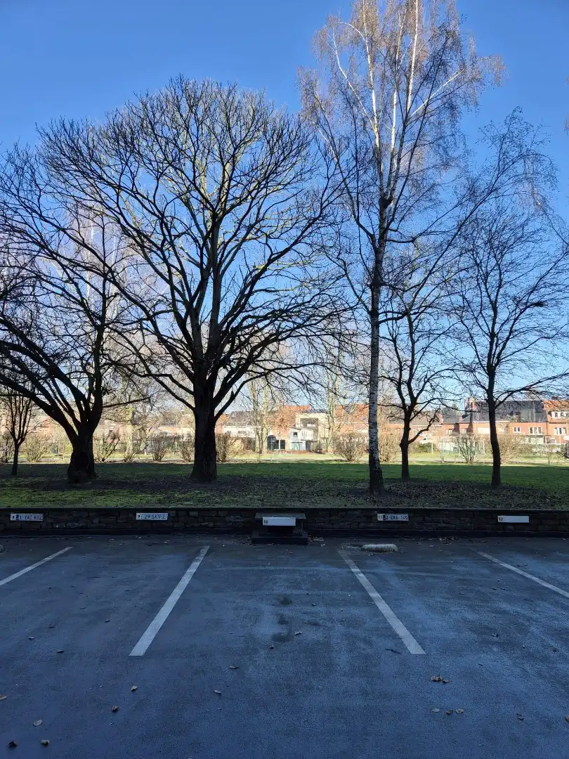  foto {{pictureIndex}}