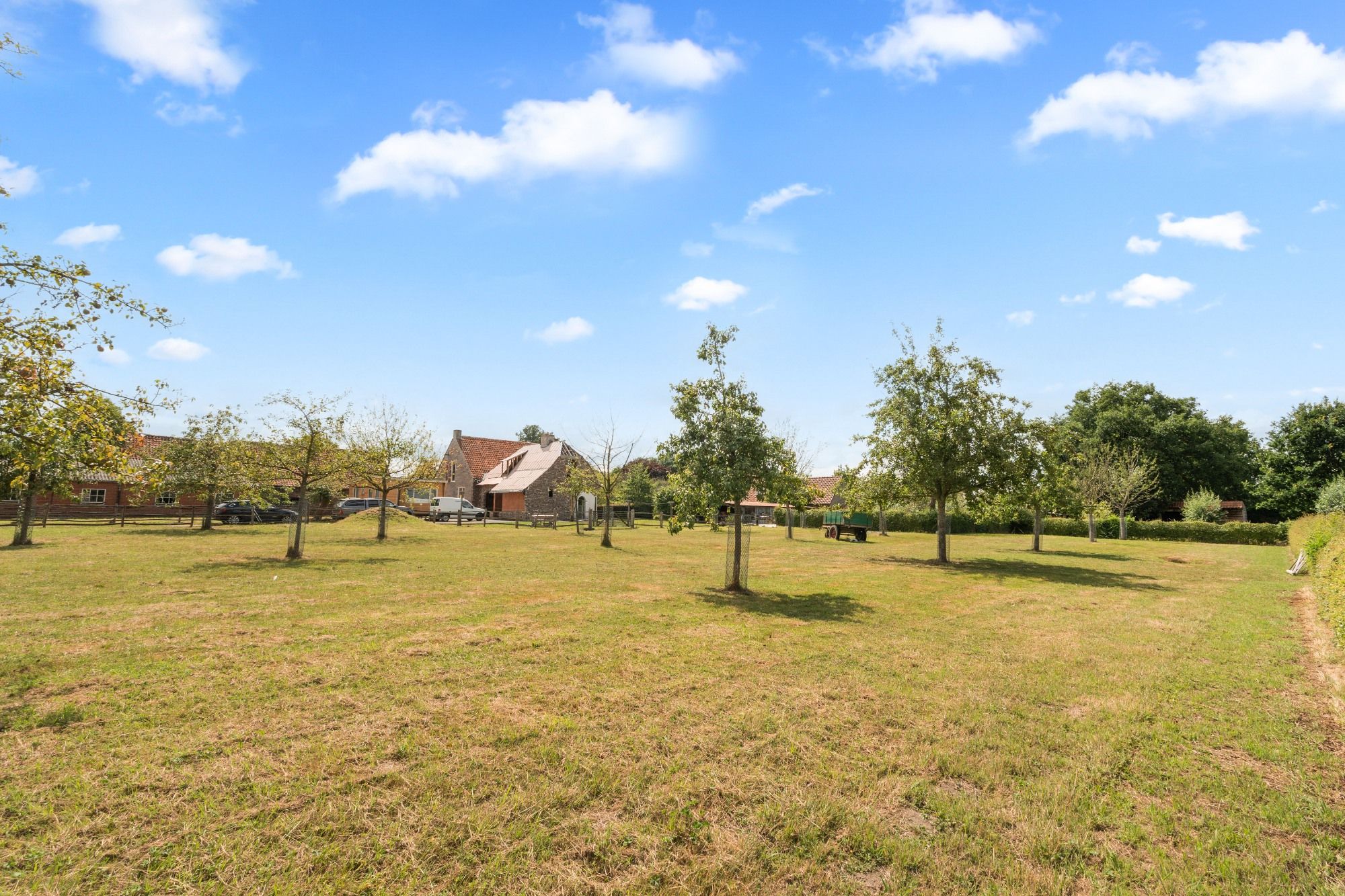 Charmante hoeve met paardenstallingen en schuur op 11.908 m² vlakbij het Drongengoed foto 36