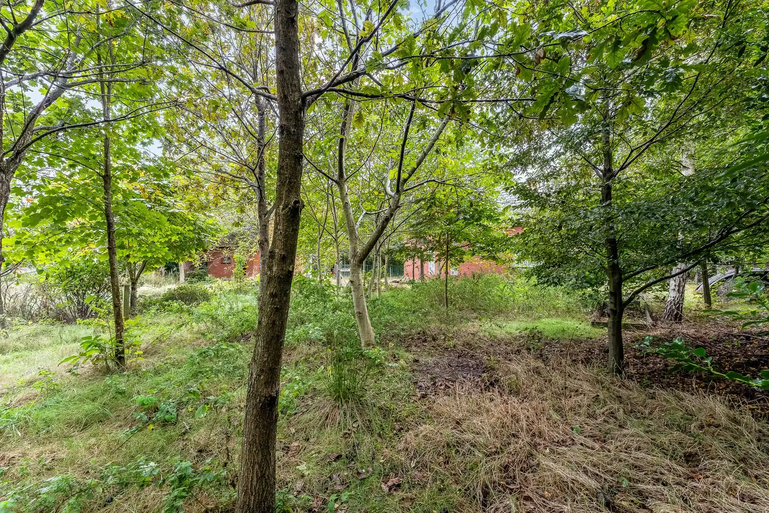 Renovatieproject op een uitstekende ligging te Bonheiden foto 13