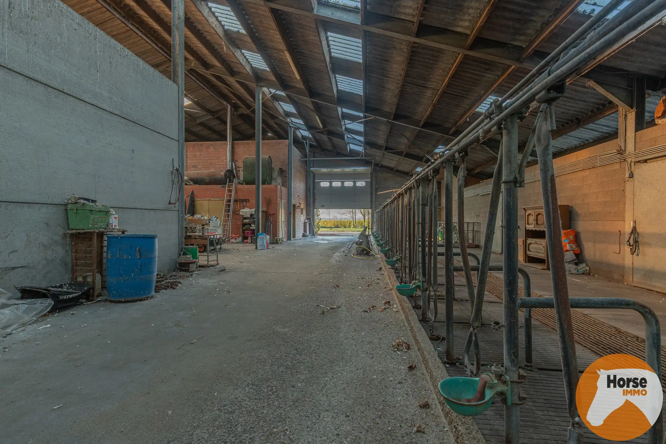 LAARNE- &nbsp;Landbouweigendom met geïntegreerde woning&nbsp; foto 18