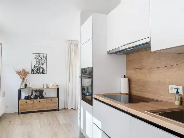 Duplex Appartement vlakbij de duinen! foto 8