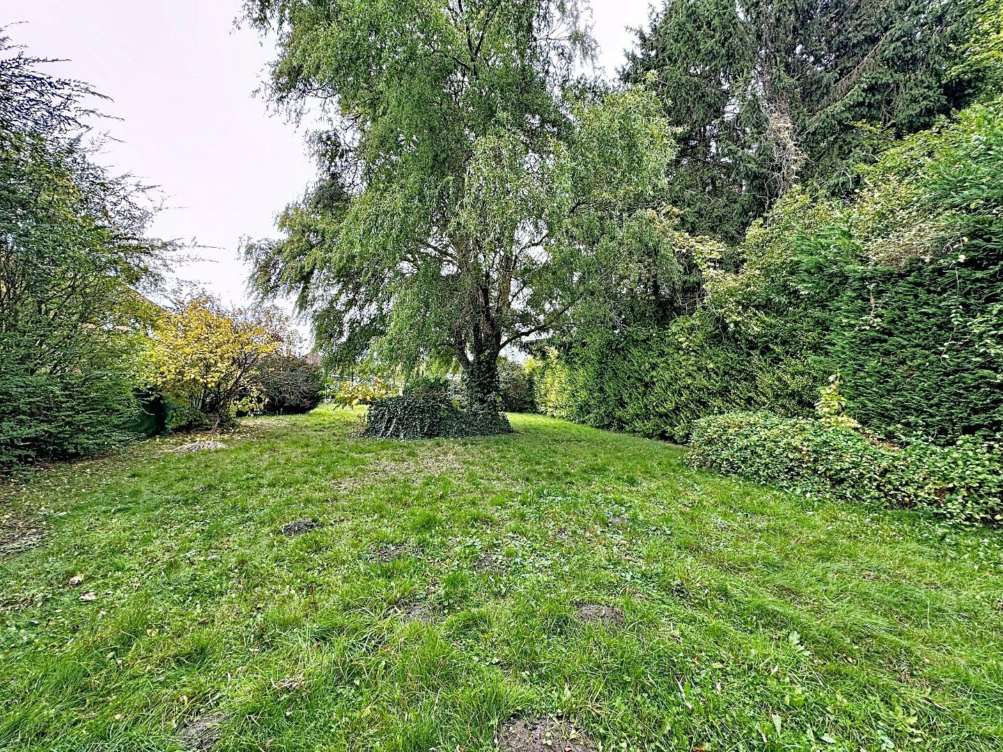 Vrijstaande woning met authentieke charme nabij centrum Testelt. foto 17