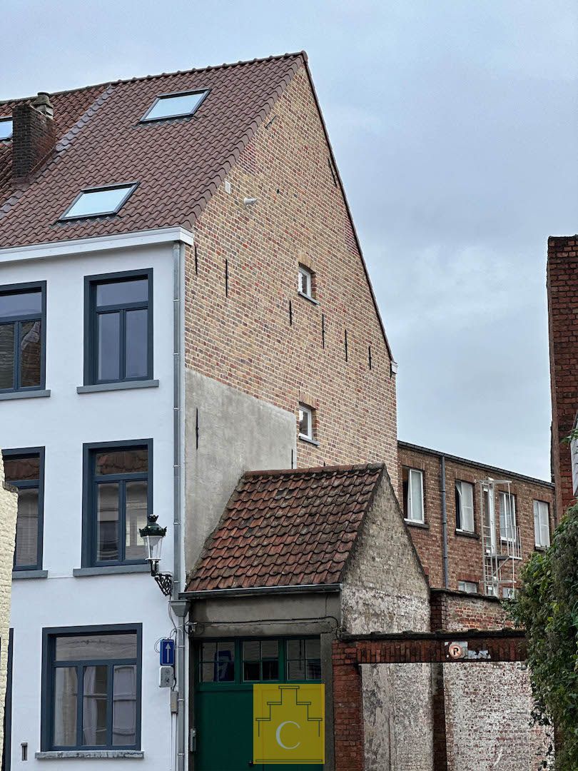 heel interessante, pas gerenoveerde ruime stadswoning met 4 slaapkamers en 3 badkamers op een stille locatie vlakbij het Karmelietenklooster foto 2