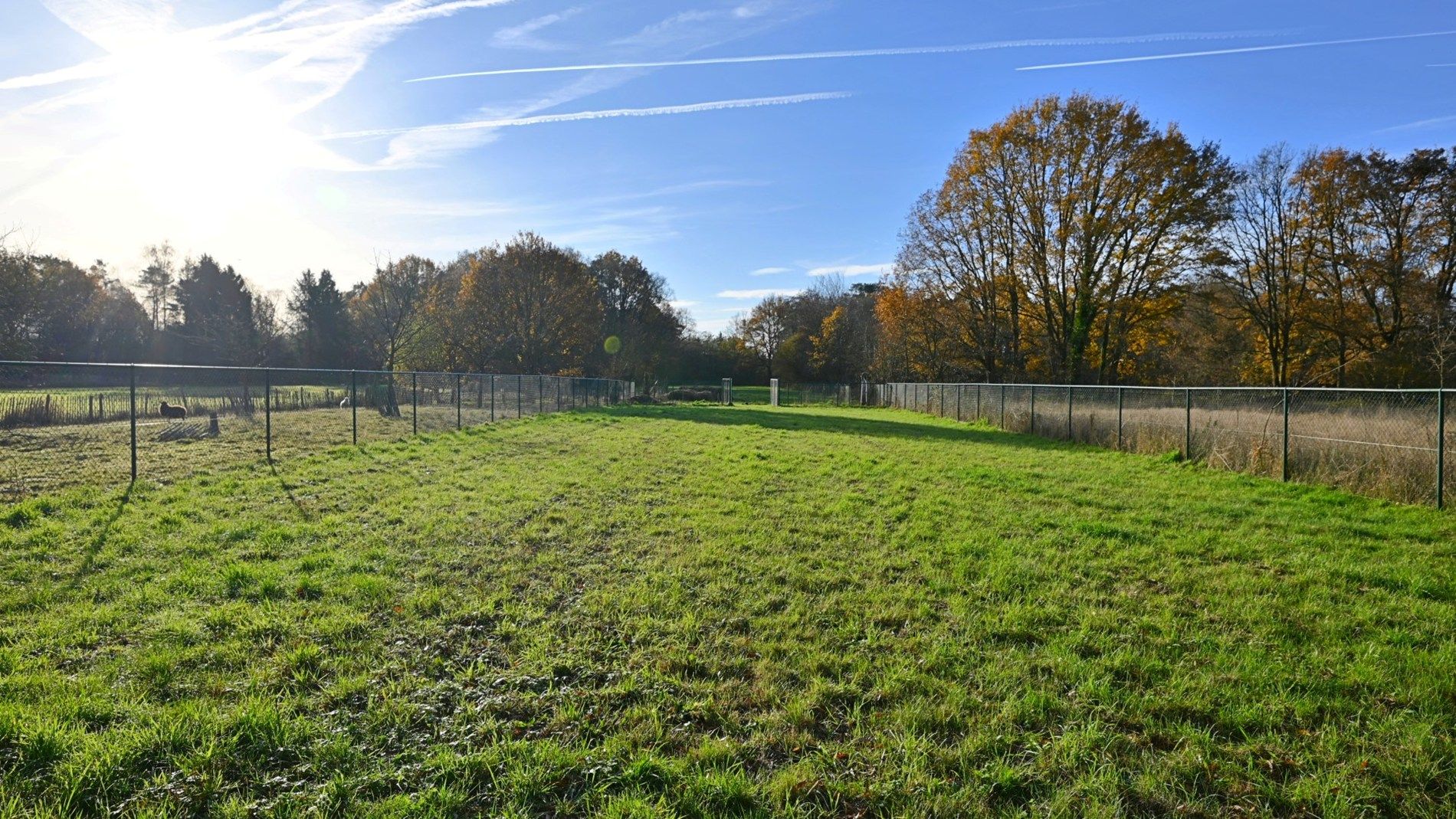 Mooie Z-gerichte villagrond op 21,5a te Tremelo foto 25