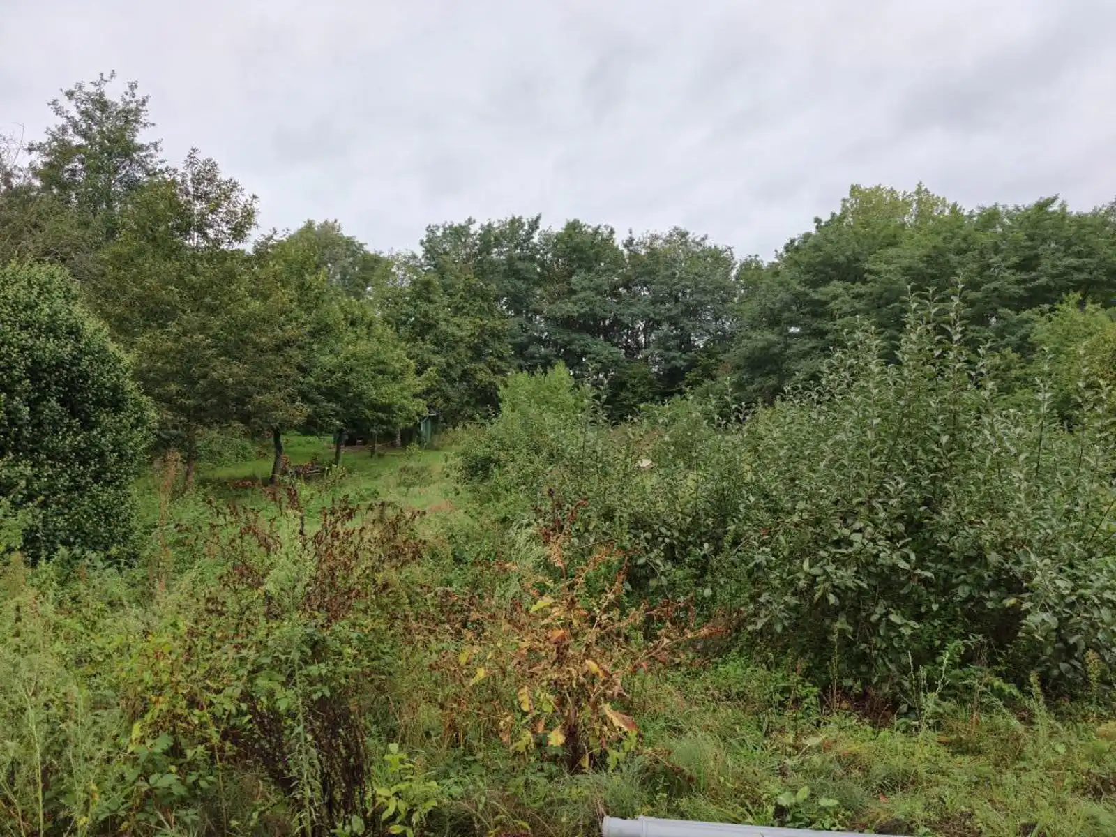 Zeer ruime rustig gelegen chalet foto 14