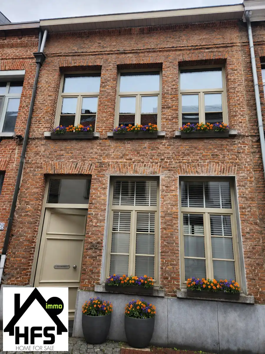Toffe instapklare woning in hartje Mechelen met terras foto 15