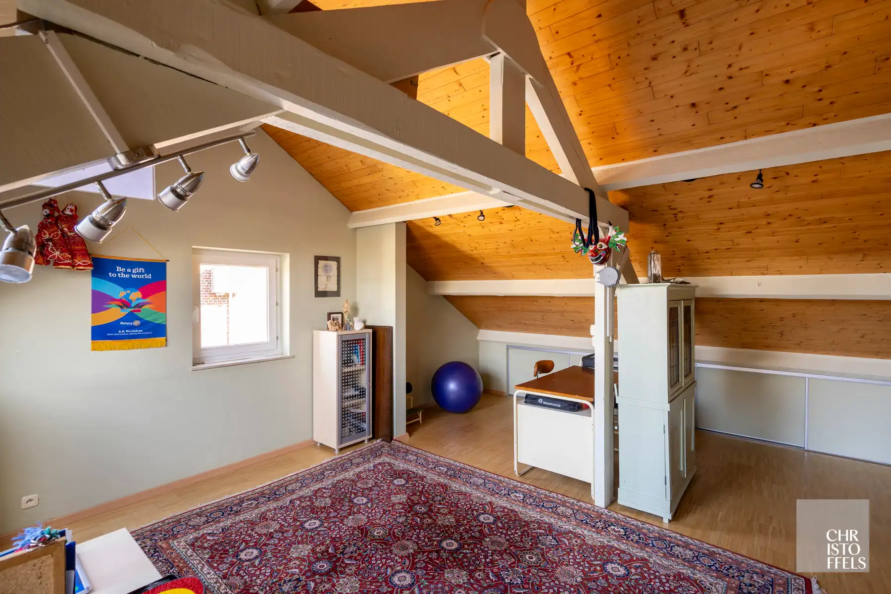 Riante vrijstaande woning mét praktijkruimte in het centrum van Opgrimbie!  foto 30