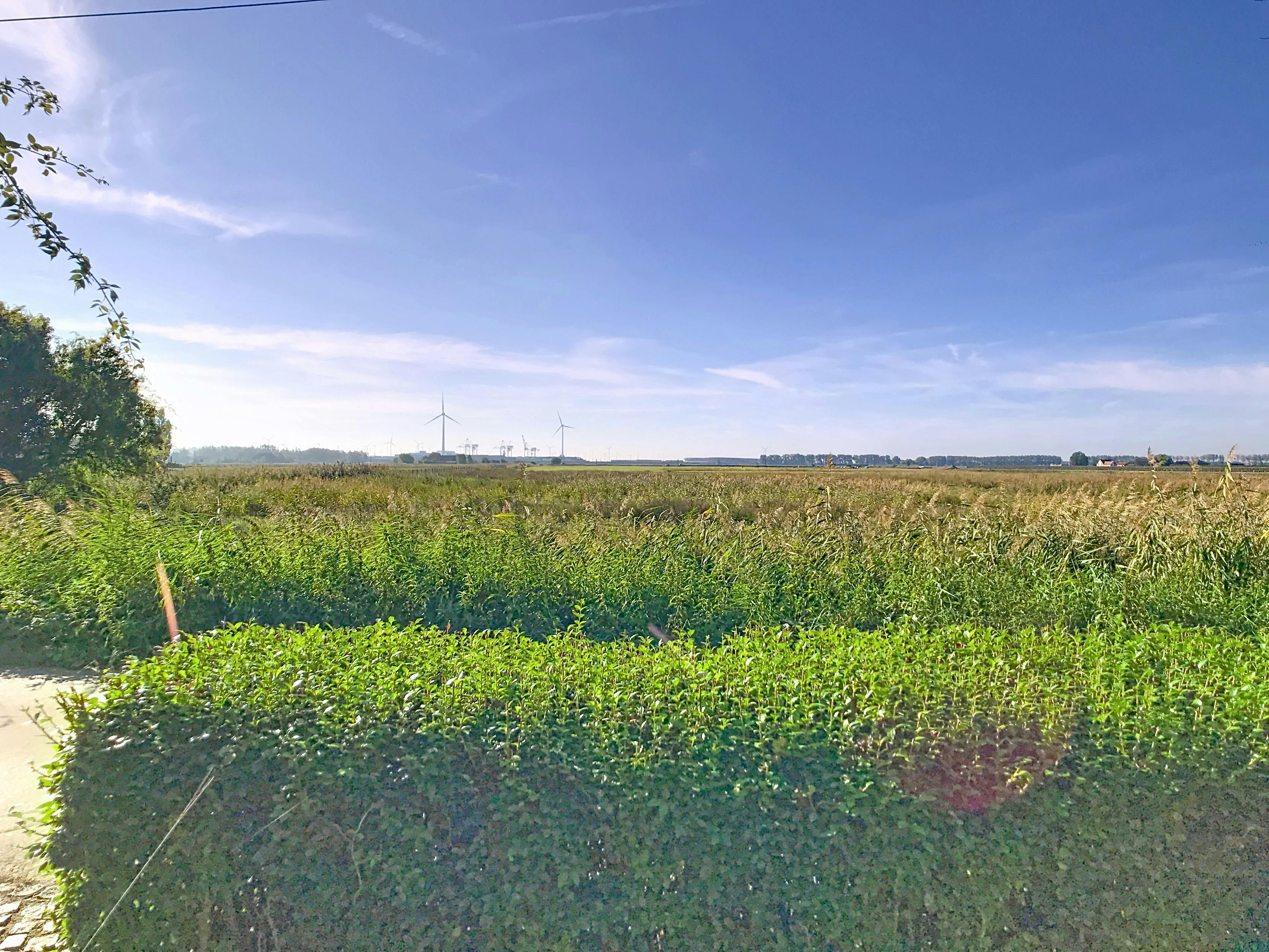 Rustig gelegen huis of vakantiewoning in groene omgeving foto 3