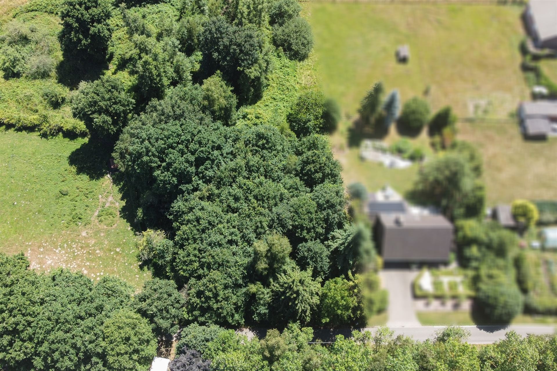 Bouwgrond voor een halfopen bebouwing omringd door groen. foto 4