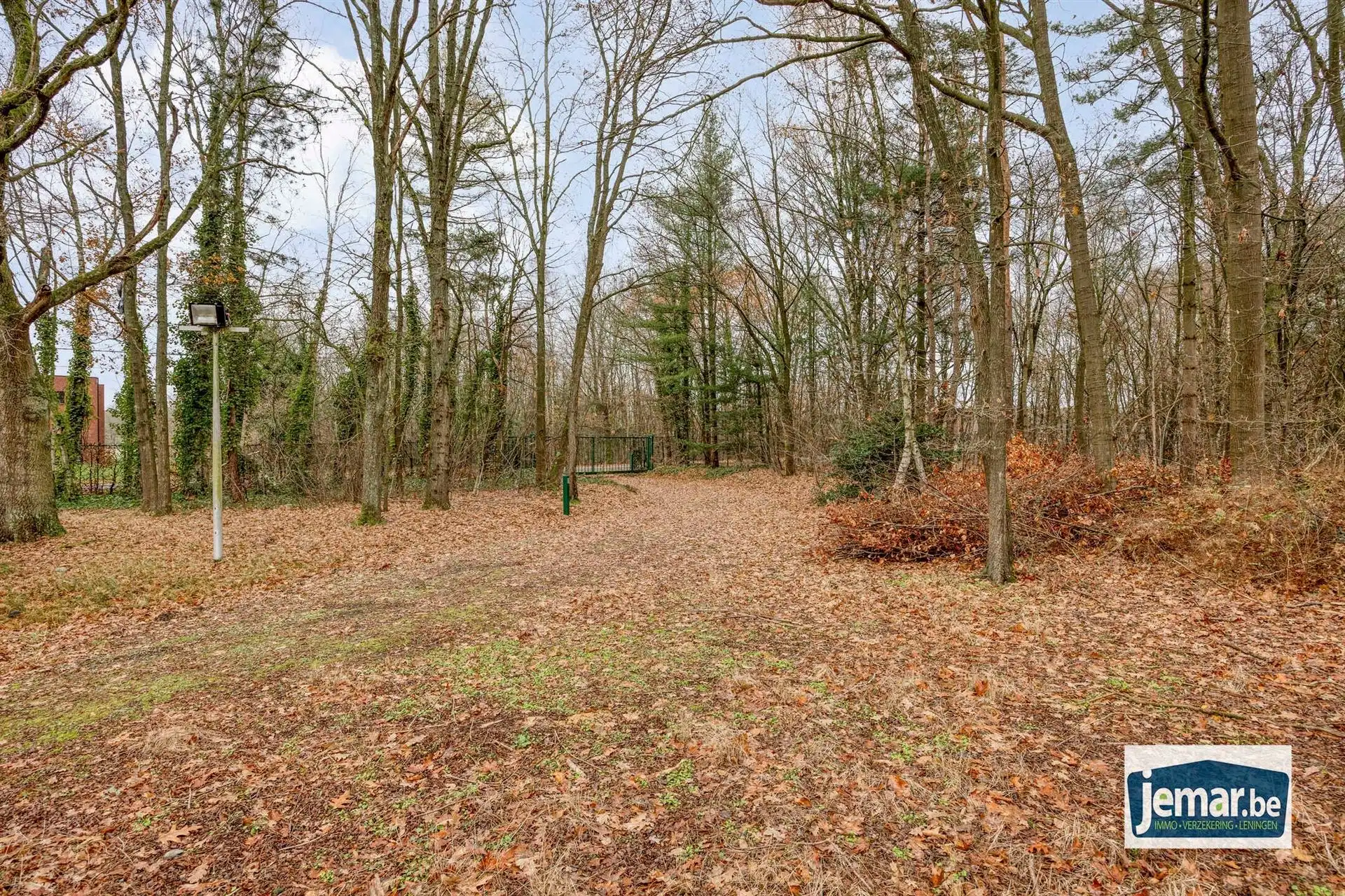 Villa met professionele opslagruimte, kelder en kantoorruimtes. foto 66