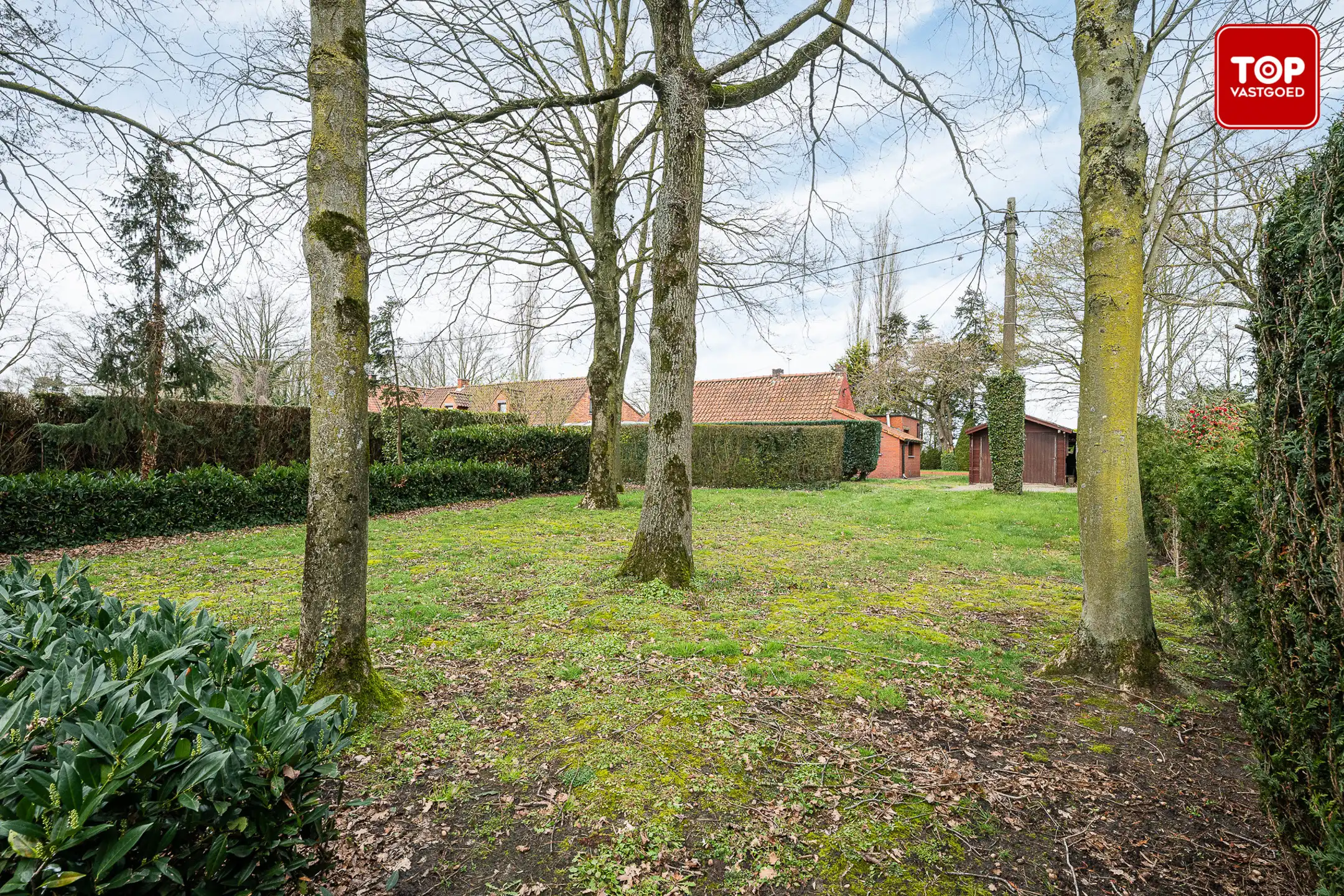 Huis te koop foto 23