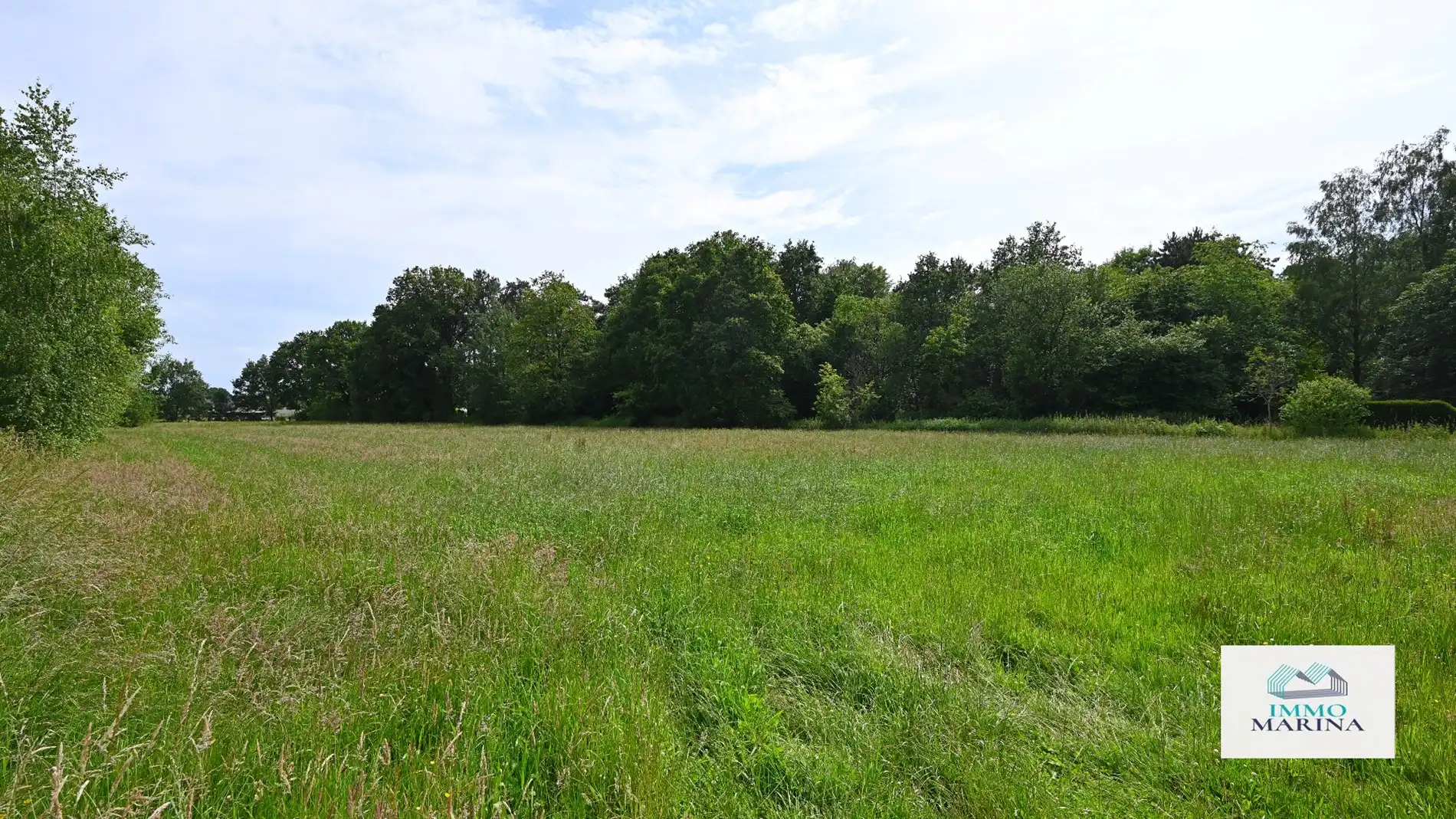 Landbouwgrond / paardenweide te koop te Baal foto 7