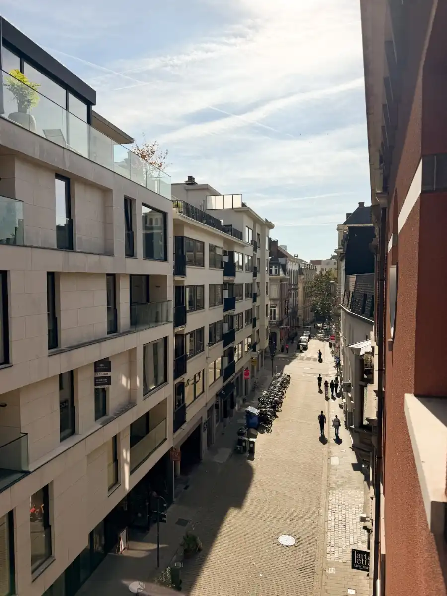 Gerenoveerd 2-slaapkamerappartement met uitzicht op Sint-Baafskathedraal foto 28