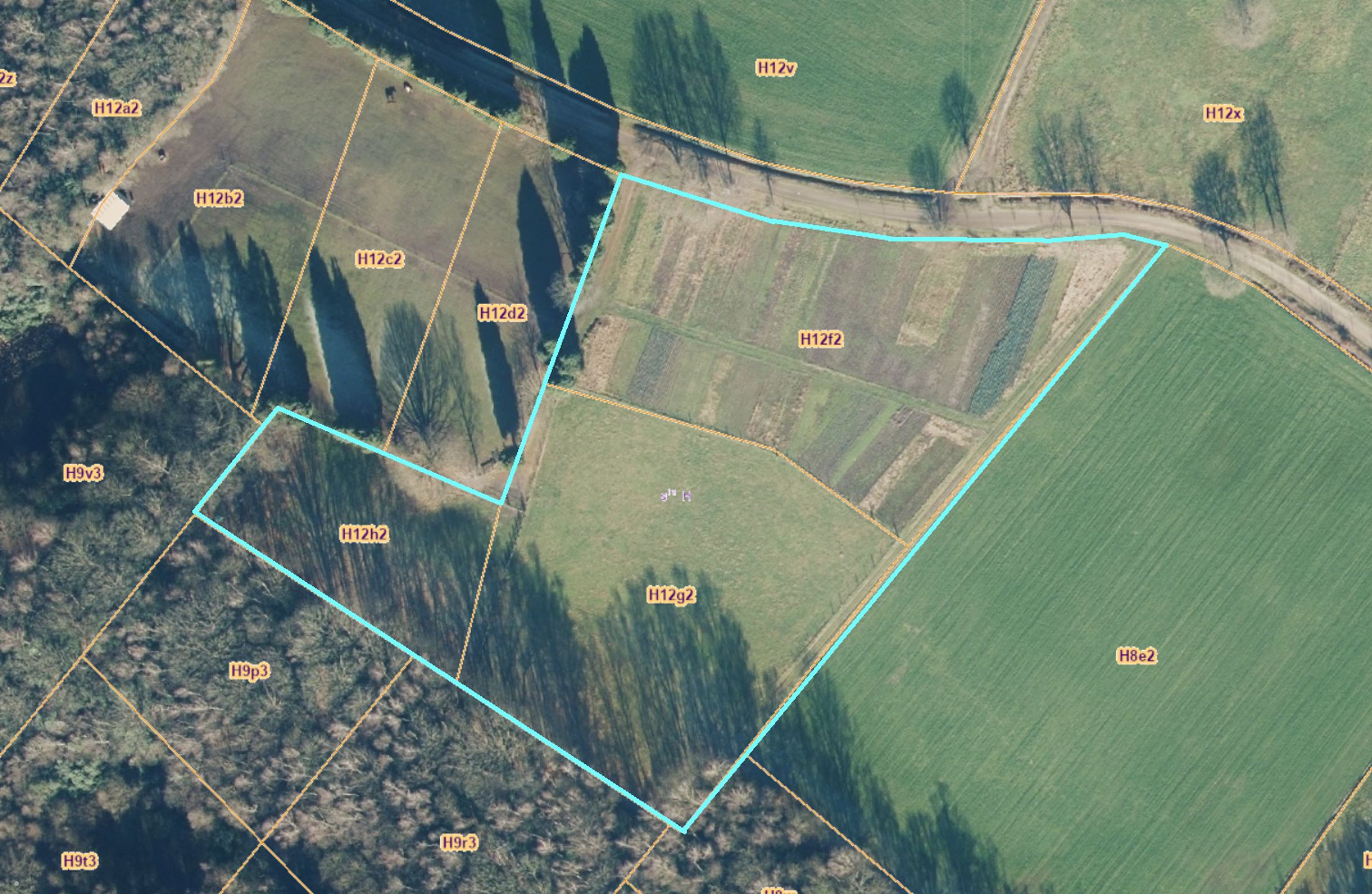 Weidegrond van ca. 16909 m² te Gooreind foto 14