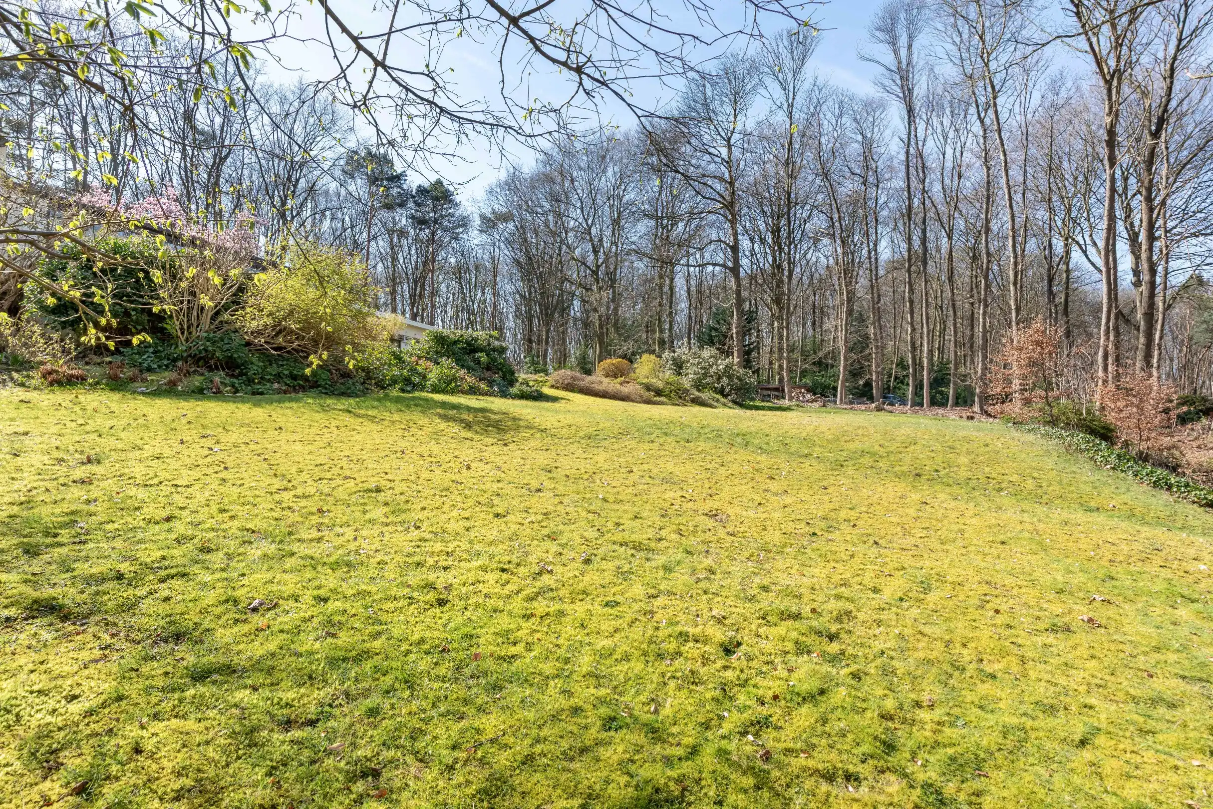 Unieke laagbouwvilla op 85 are parkgebied te Holsbeek foto 16