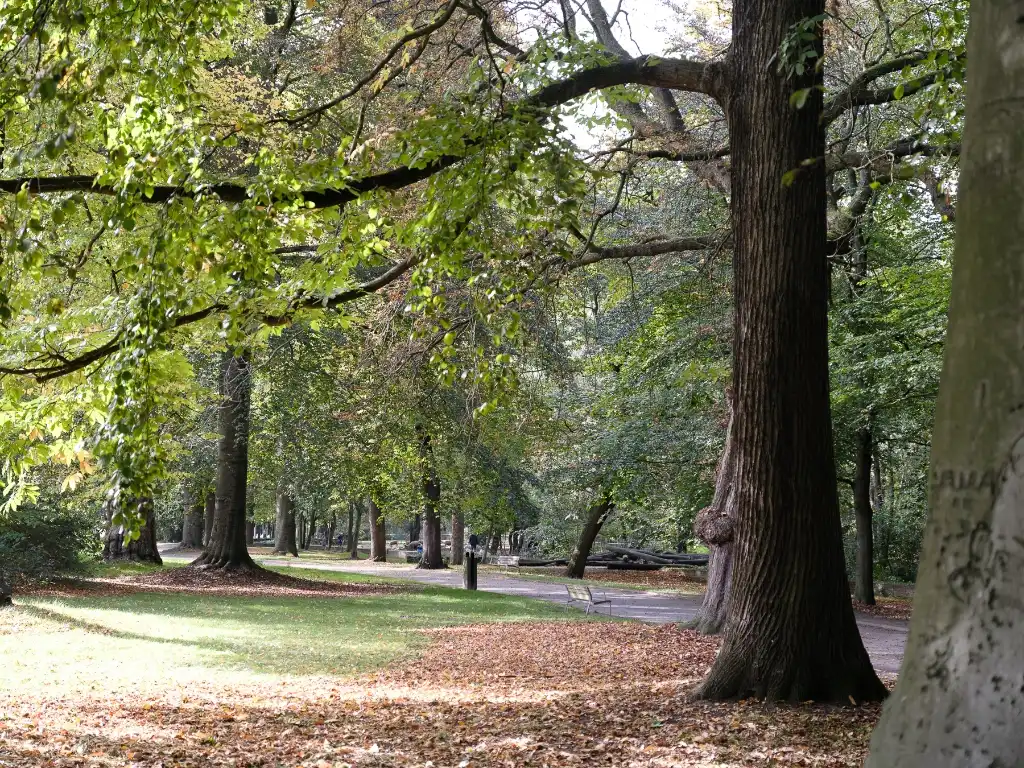 Stijlvol en instapklaar 3-slaapkamerappartement (163 m²) met zonnig terras nabij de Coupure foto 16